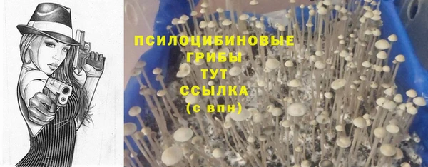 дурь Алзамай