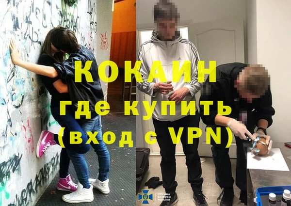 дживик Алексин