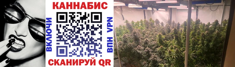 Каннабис LSD WEED  где можно купить   Закаменск 